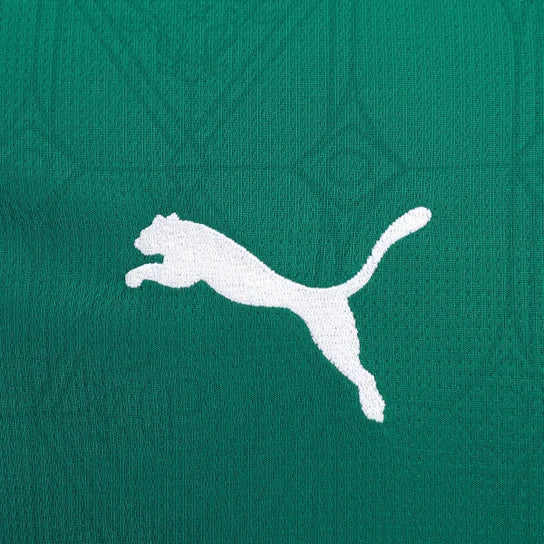 Camiseta Palmeiras Home 25/26