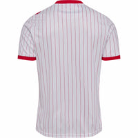 Camiseta Dinamarca Away 26/27
