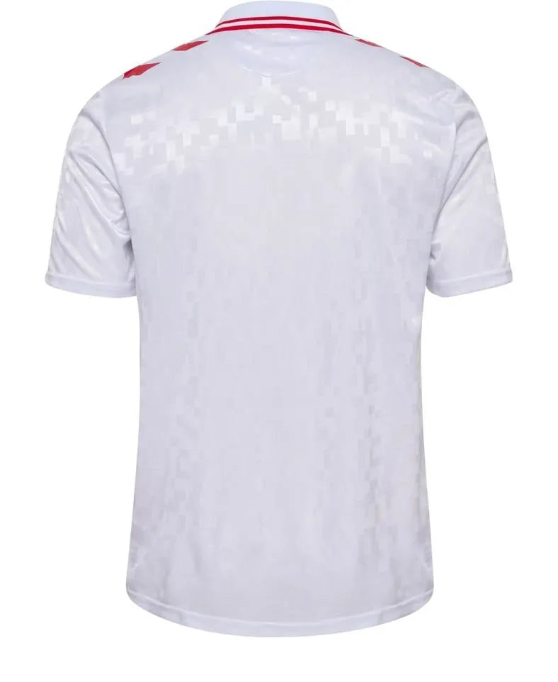 Camiseta Dinamarca Away 24/25