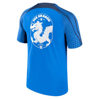 Camiseta Chelsea Treino Ano do Dragão 2024
