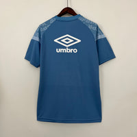 Camiseta Grêmio Treino 23/24