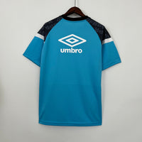 Camiseta Grêmio Treino 23/24