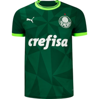 Camiseta Palmeiras Home 23/24