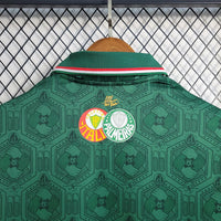 Camiseta Polo Palmeiras - 23/24