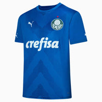 Camiseta Palmeiras 23/24
