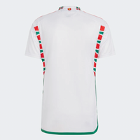 Camiseta Selección País de Gales II 2022 - Blanca