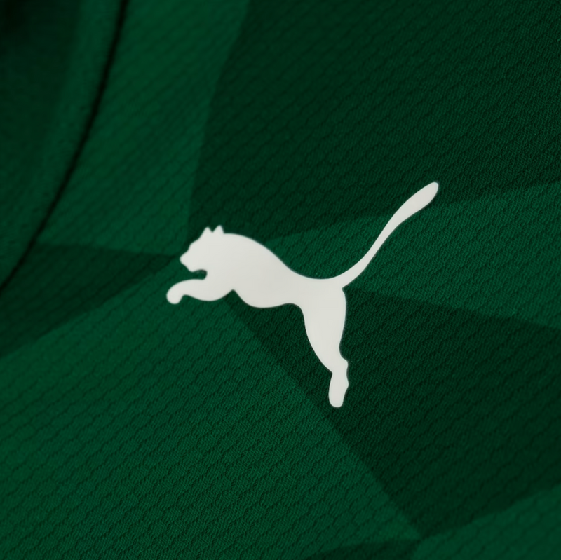 Camiseta Palmeiras Home 23/24