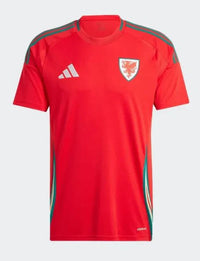 Camiseta Selección País de Gales 24/25