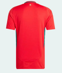 Camiseta Selección País de Gales 24/25