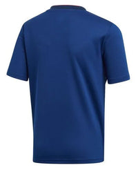 Camiseta Selección Japón 2019