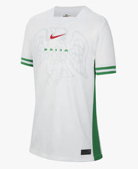 Camiseta Selección Nigéria II 24/25