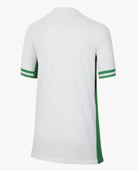 Camiseta Selección Nigéria II 24/25