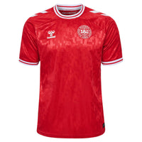 Camiseta Selección Dinamarca 24/25