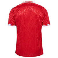 Camiseta Selección Dinamarca 24/25