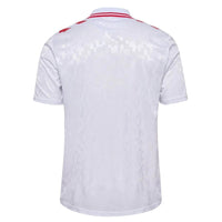 Camiseta Selección Dinamarca 24/25