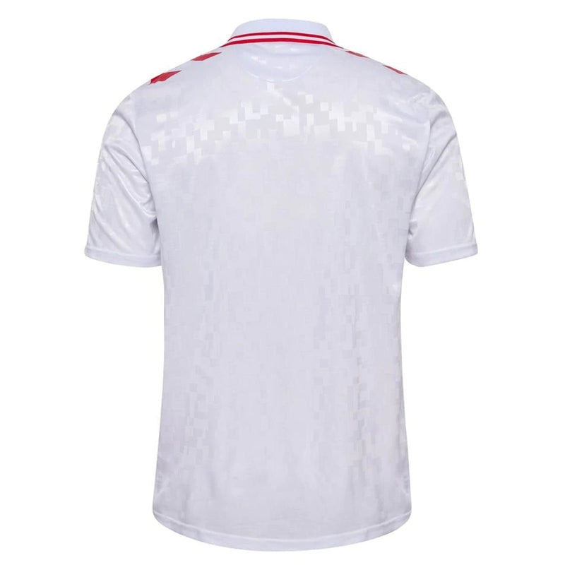 Camiseta Selección Dinamarca 24/25