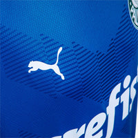 Camiseta Palmeiras 23/24