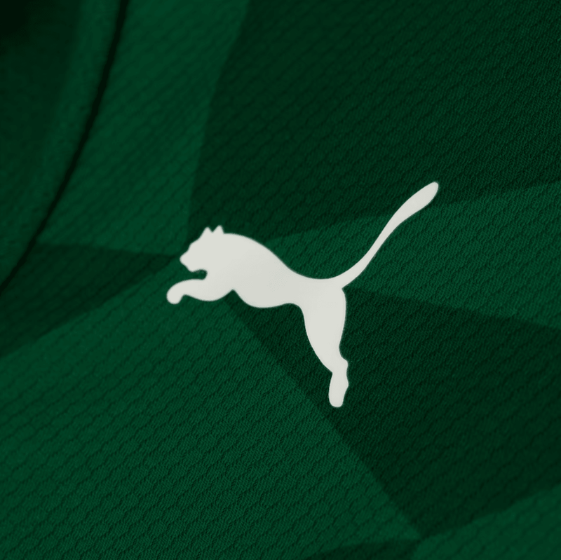 Camisa Palmeiras I 23/24 Puma - Verde - DA Sports Oficial