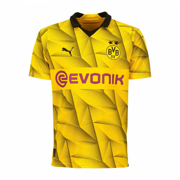 Camiseta Borussia Dortmund CUPTRIKOT 23/24