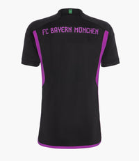 Camiseta Bayern de Munique II 23/24