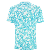 Camiseta de Apresentação Ajax 23/24