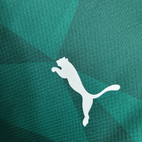 Camiseta Manga Larga Palmeiras Home 23/24
