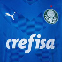 Camiseta Palmeiras 23/24