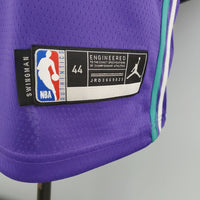 Camisetas sin mangas Charlotte Hornets